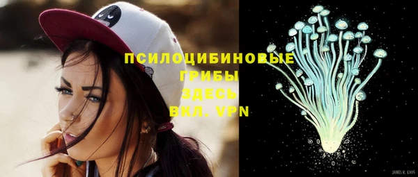 гашик Алексеевка