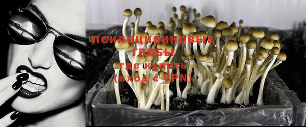mdpv Алзамай