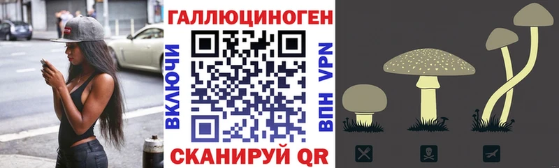 магазин  наркотиков  Нижний Тагил  Псилоцибиновые грибы мухоморы 