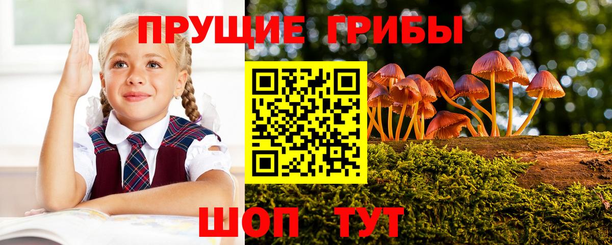 Псилоцибиновые грибы мухоморы  Галлюциногенные грибы прущие грибы  Вход с VPN  Нижний Тагил 