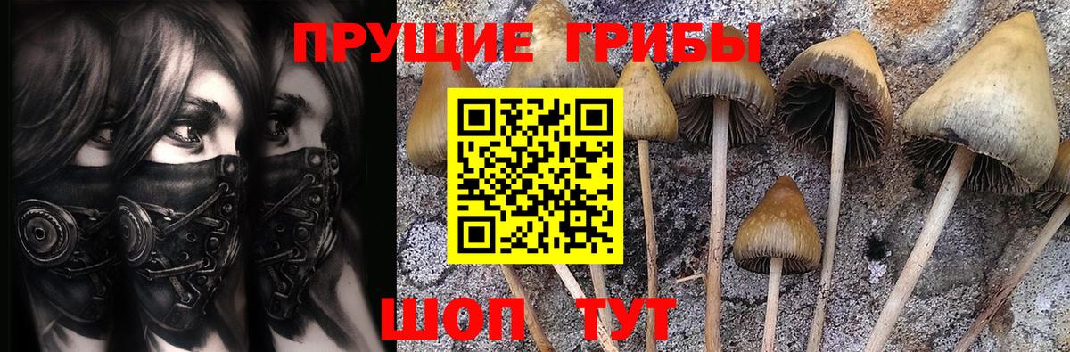 Галлюциногенные грибы GOLDEN TEACHER Нижний Тагил